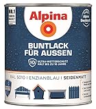 Alpina Buntlack